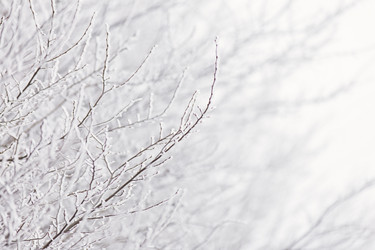 Similar image 6932129