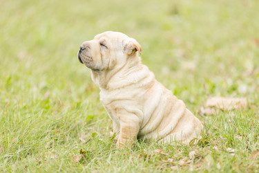 Similar image 6932133