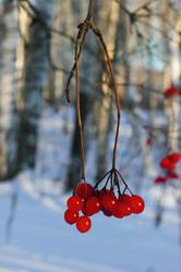 Similar image 6932145