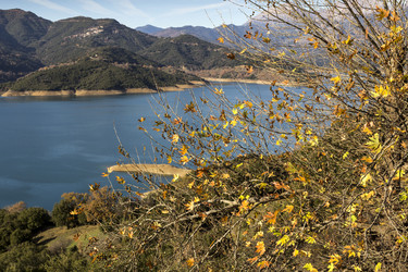 Similar image 6939841