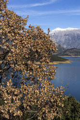 Similar image 6939850