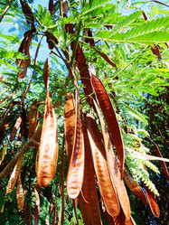 Similar image 6944733