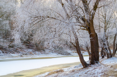 Similar image 6945988