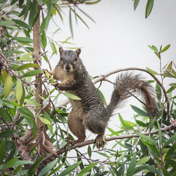 Similar image 6957199