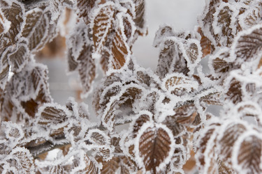 Similar image 6959503