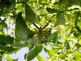 Similar image 6959586