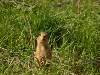 Similar image 6959588