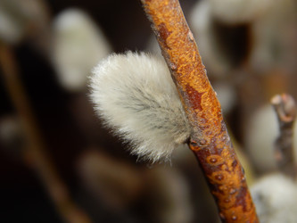 Similar image 6959590