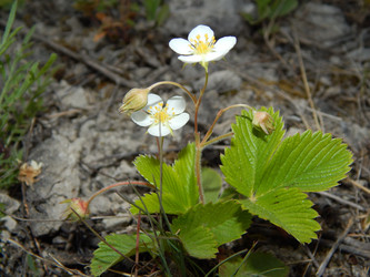 Similar image 6959644