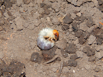 Similar image 6959647