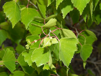 Similar image 6959796