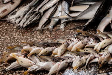 Similar image 6959956