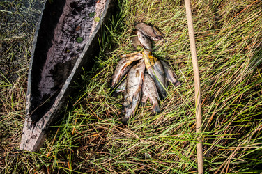 Similar image 6959959