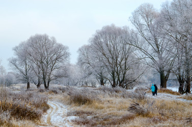 Similar image 6960134