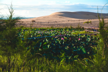 Similar image 6960603