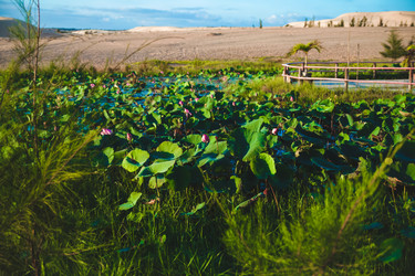 Similar image 6960650