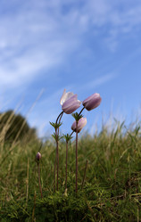 Similar image 6963156