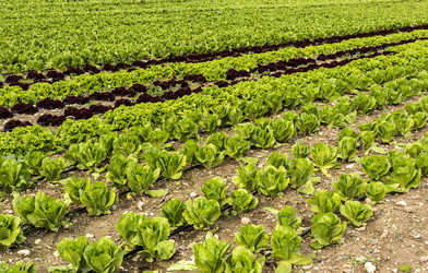 Similar image 6963175