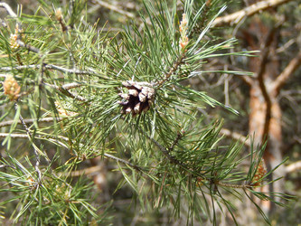 Similar image 6963177