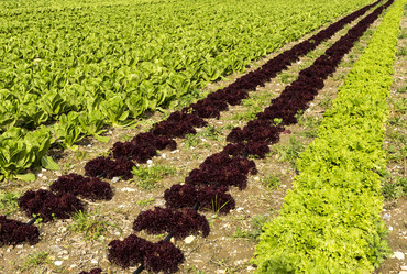 Similar image 6963178