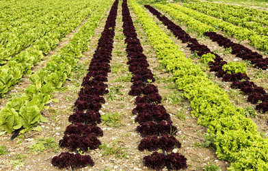 Similar image 6963182