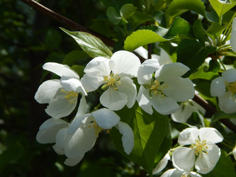 Similar image 6963187