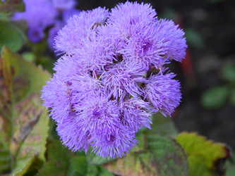 Similar image 6963189