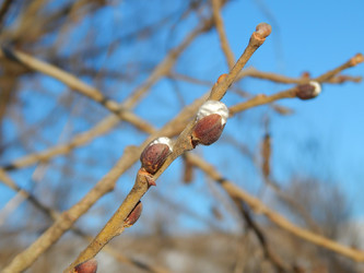 Similar image 6963192