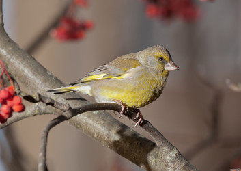 Similar image 6964260