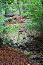 Similar image 7002662