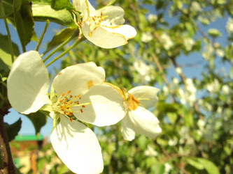 Similar image 7002676