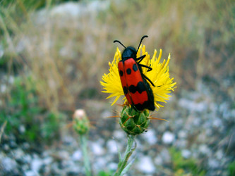 Similar image 7002789