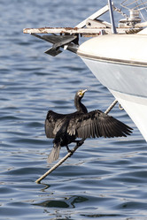 Similar image 7002846