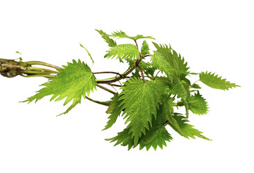 Similar image 7002847