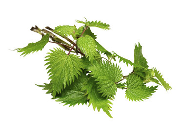 Similar image 7002848