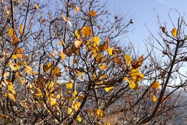 Similar image 7002904