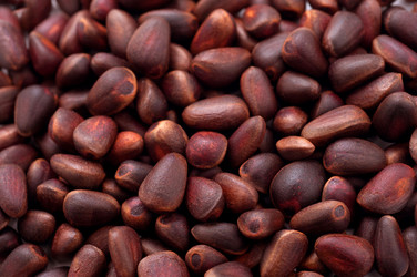 Similar image 7002958