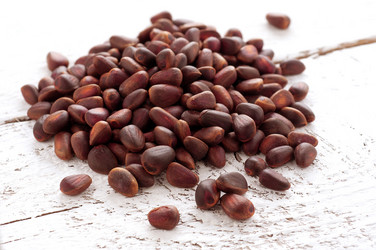 Similar image 7002959