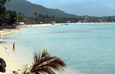 Similar image 7003146