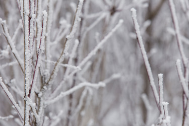 Similar image 7030485