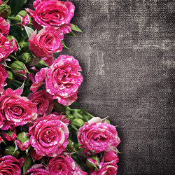 Similar image 7030527