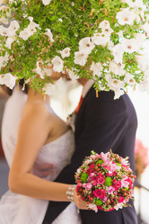 Similar image 7030535