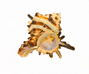 Similar image 7030613