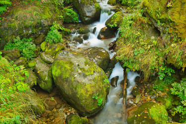 Similar image 7036821