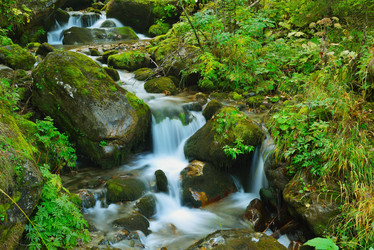 Similar image 7036846