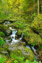 Similar image 7036991