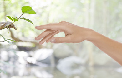 Similar image 7037312