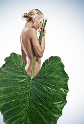 Similar image 7037414