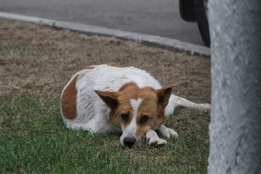 Similar image 7052220