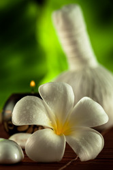 Similar image 7055800